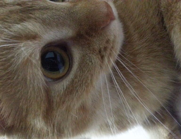 5 advantages of darkwarfall gaming