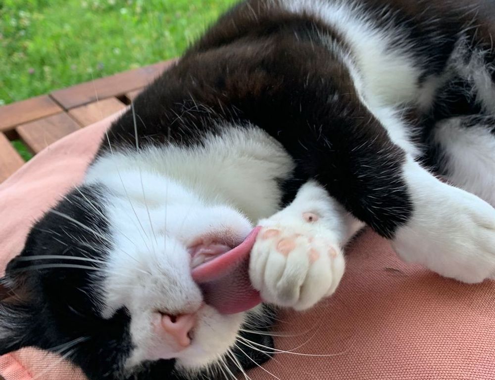 foods that stay good some time after expiration date fhthgoodfood