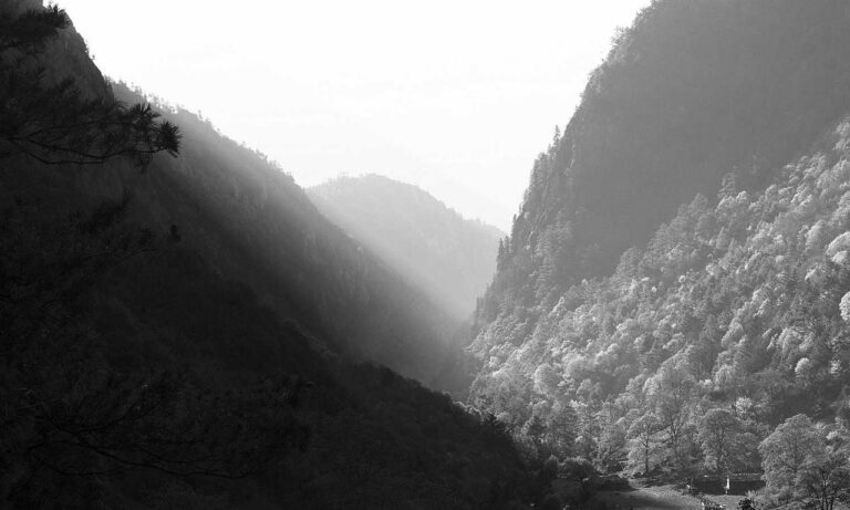 how endbugflow software can be protected