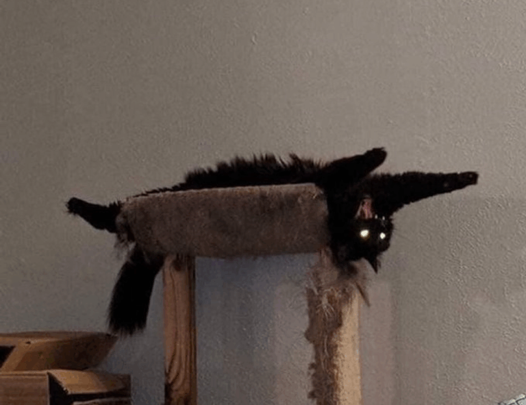 how python 2579xao6 can be used for data analysis