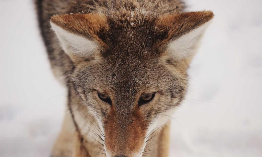 nutritional meals fhthgoodfood