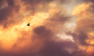 software gdtj45 builder does not work