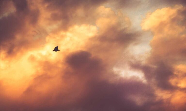 software gdtj45 builder does not work