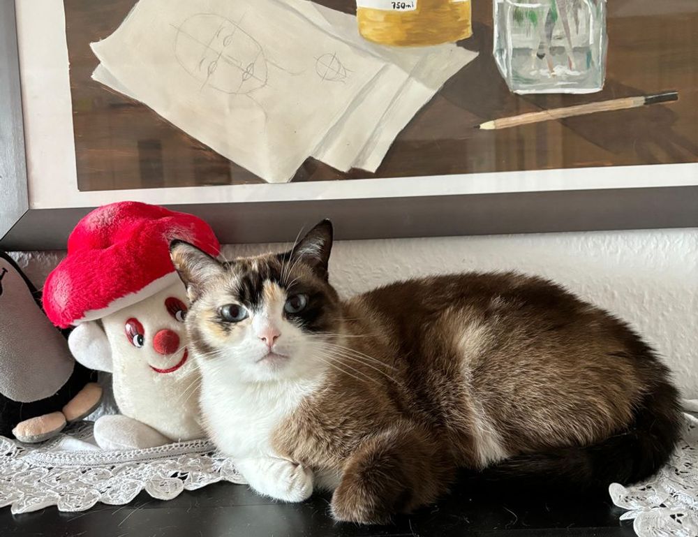 teckaya construction equipment ltd management