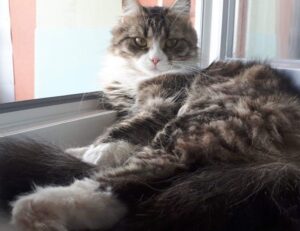 what should i wear in drapizto island