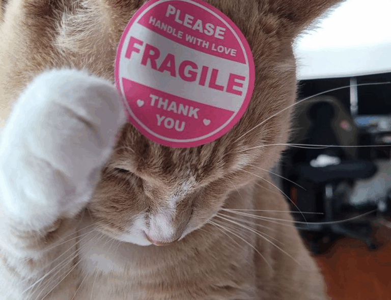 zydaisis disease which foods to avoid