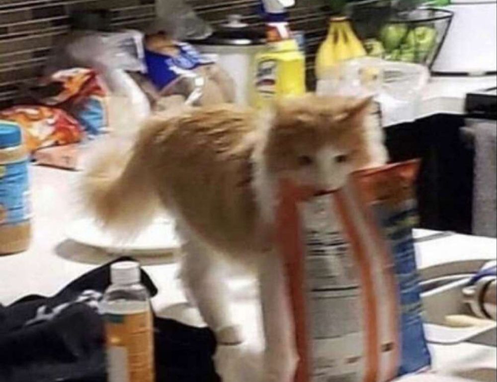 benefit of cooking at home fhthopefood