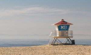 can dog eat felmusgano