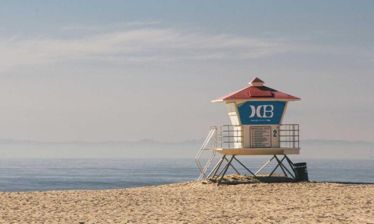 can dog eat felmusgano