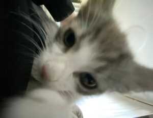 food blog fhthopefood