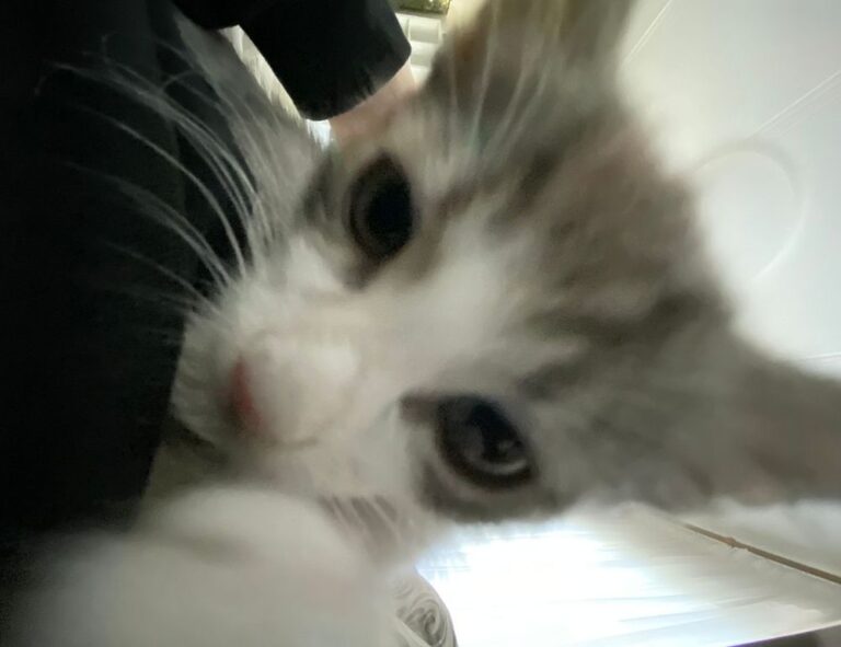 food blog fhthopefood