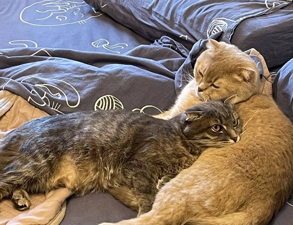 food trends fhthopefood