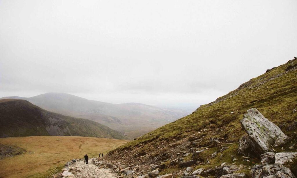 how many days can felmusgano be stored