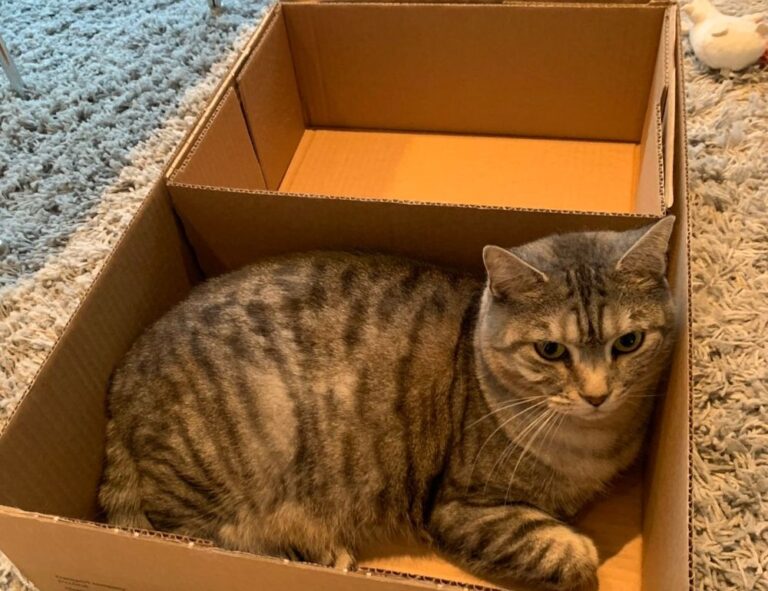 llblogfood light recipes from lovelolablog