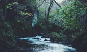 online food trends fhthopefood