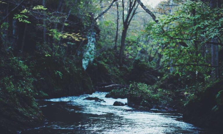 online food trends fhthopefood