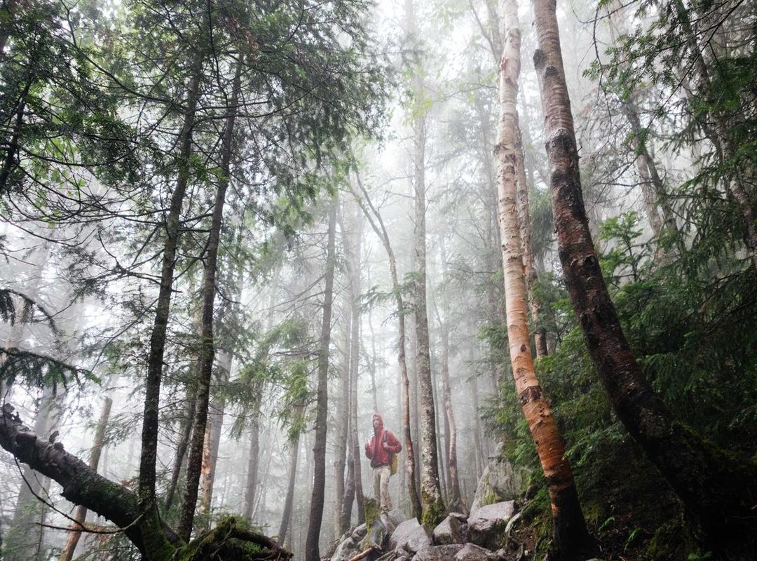 Finding the Best Rates: Where to Exchange Your Currency