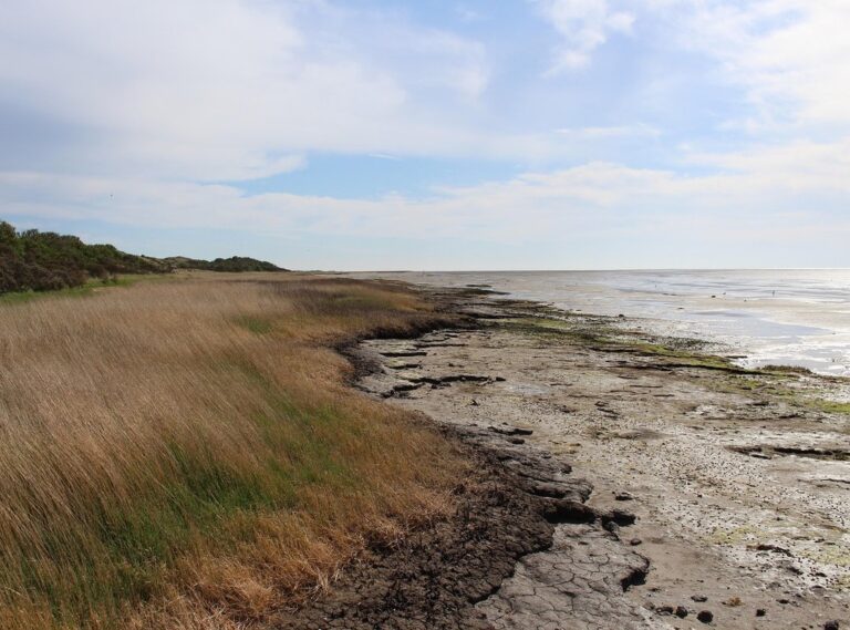 cast of het gouden uur