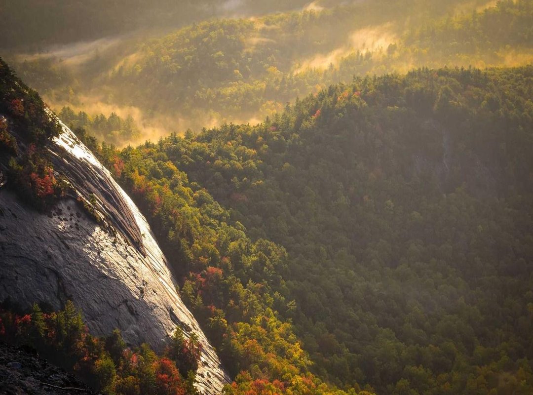 What We've Learned: Thinking Critically About Online Content