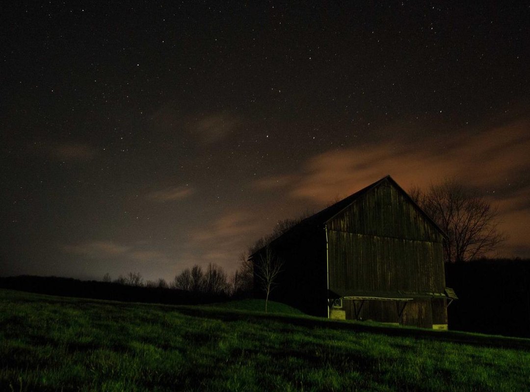 Find Every Trainer's Favorite: From Pikachu to Greninja