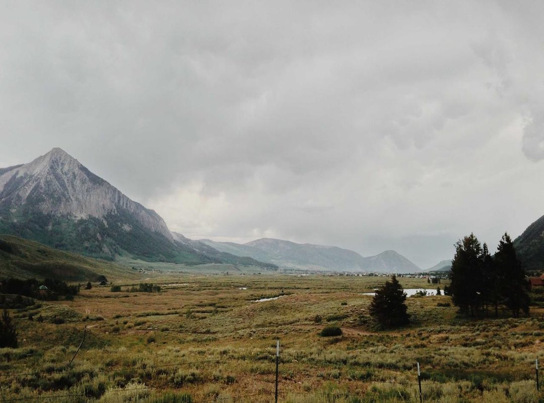 The Shrek Connection: Which Character and Why?