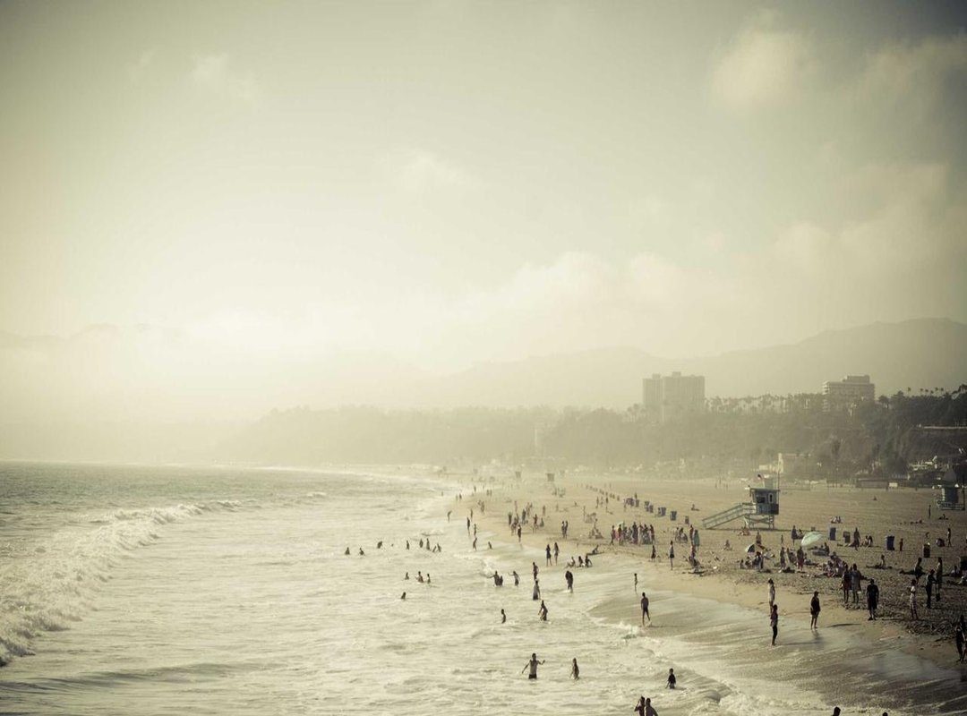 The Psychology of a Hit: Why We Can't Get Enough of This Meme