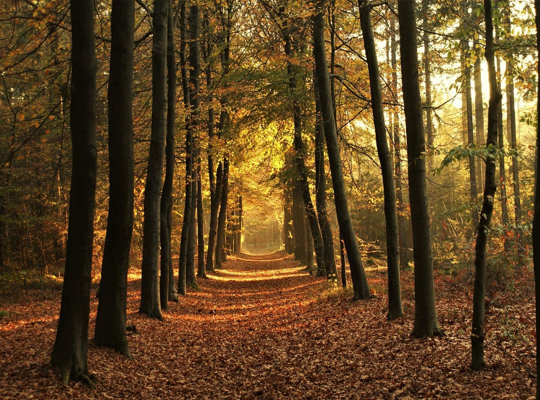 A Glimpse into Her Early Life and Beginnings