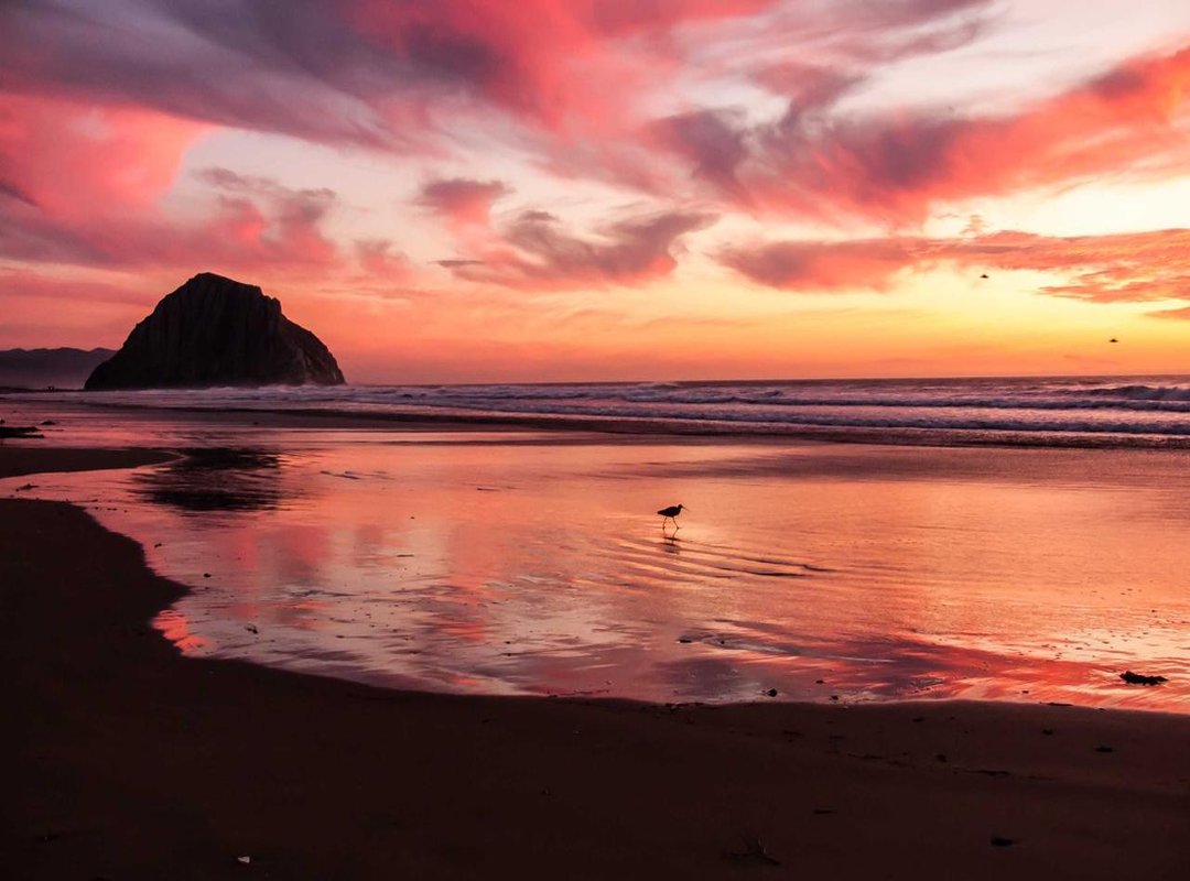 The Black Swan Trick: Deception at the Royal Ball (Act 3)