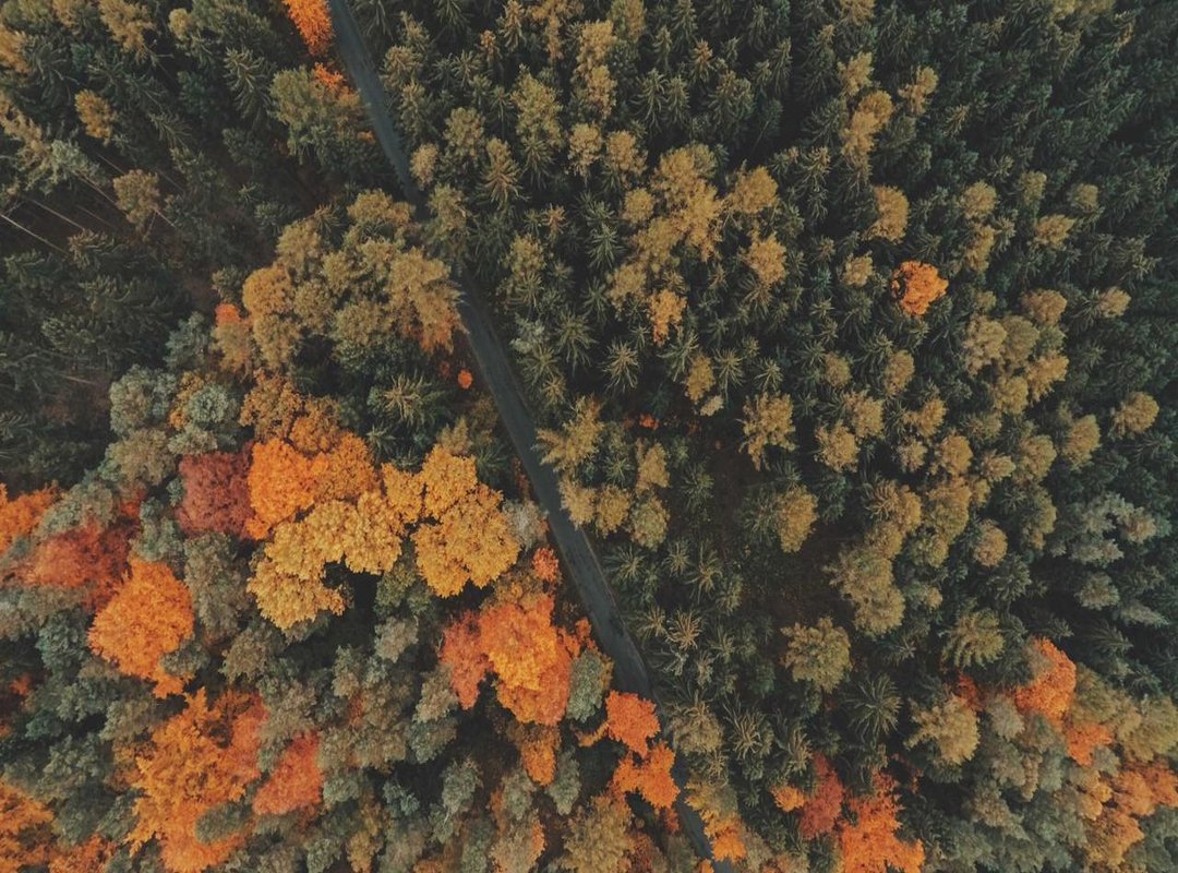 The Evolution of a Hairstyle: A Look Back in Time